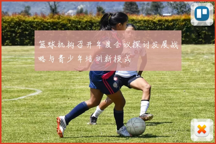 篮球机构召开年度会议探讨发展战略与青少年培训新模式