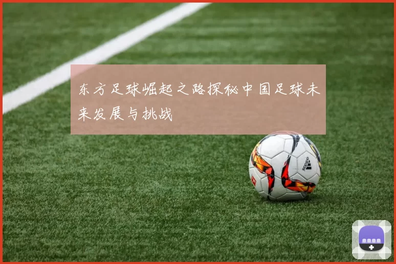东方足球崛起之路探秘中国足球未来发展与挑战