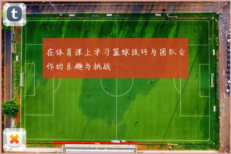 在体育课上学习篮球技巧与团队合作的乐趣与挑战